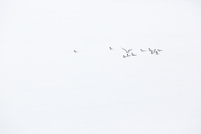 BUITEN BEELD Foto: 241026