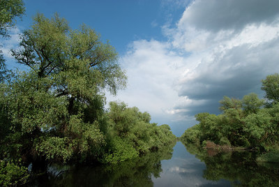 BUITEN BEELD Foto: 241064