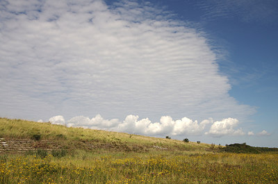 BUITEN BEELD Foto: 241066