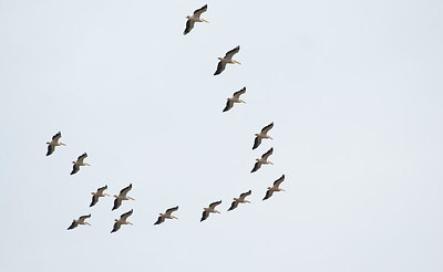 BUITEN BEELD Foto: 241081