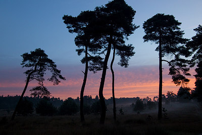 BUITEN BEELD Foto: 241090