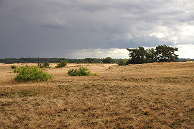 BUITEN BEELD Foto: 241102