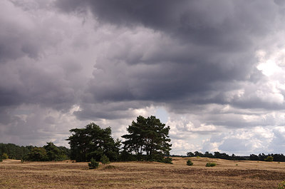 BUITEN BEELD Foto: 241103
