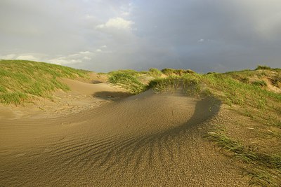 BUITEN BEELD Foto: 241237