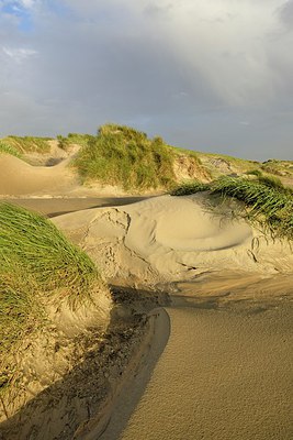 BUITEN BEELD Foto: 241239