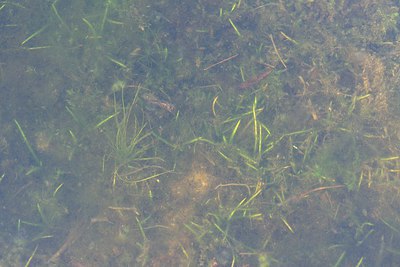BUITEN BEELD Foto: 241291