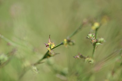 BUITEN BEELD Foto: 241307