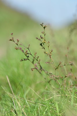 BUITEN BEELD Foto: 241308