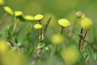 BUITEN BEELD Foto: 241315