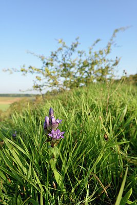 BUITEN BEELD Foto: 241373