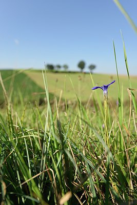 BUITEN BEELD Foto: 241380