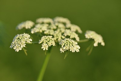 BUITEN BEELD Foto: 241393