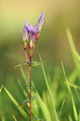 BUITEN BEELD Foto: 241396