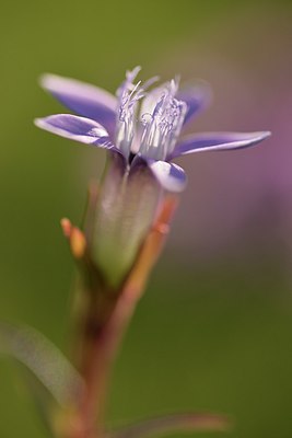 BUITEN BEELD Foto: 241410