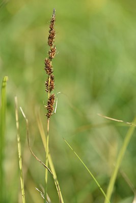 BUITEN BEELD Foto: 241429