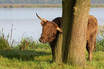 BUITEN BEELD Foto: 241444