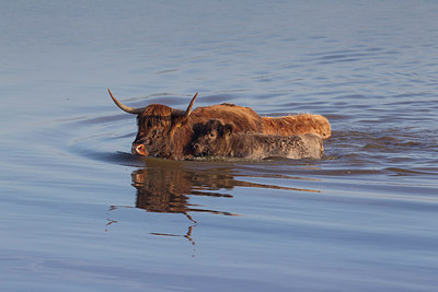 BUITEN BEELD Foto: 241445