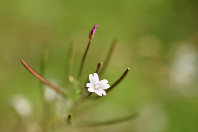BUITEN BEELD Foto: 241469