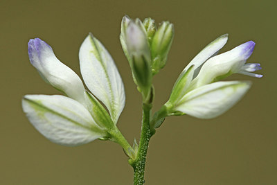BUITEN BEELD Foto: 241524