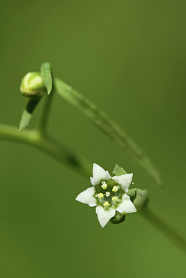 BUITEN BEELD Foto: 241555