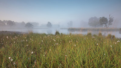 BUITEN BEELD Foto: 241566