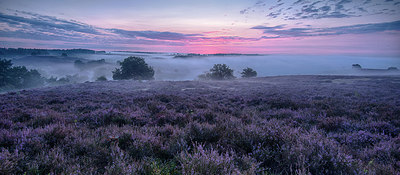 BUITEN BEELD Foto: 241571
