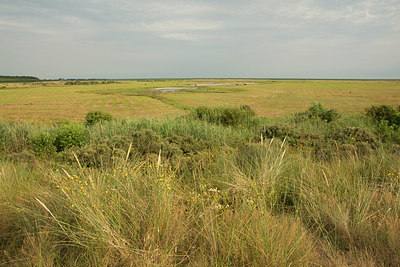 BUITEN BEELD Foto: 241585