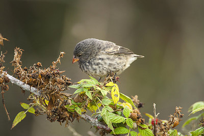 BUITEN BEELD Foto: 241621