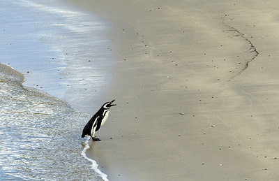 BUITEN BEELD Foto: 241786