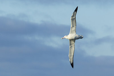 BUITEN BEELD Foto: 241851