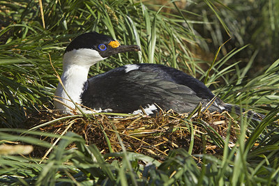 BUITEN BEELD Foto: 241853