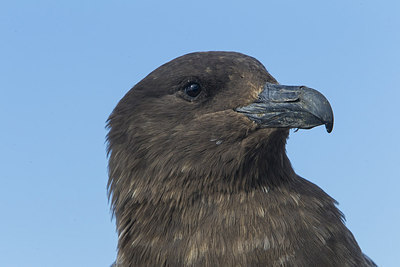 BUITEN BEELD Foto: 241874