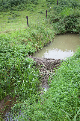 BUITEN BEELD Foto: 242205