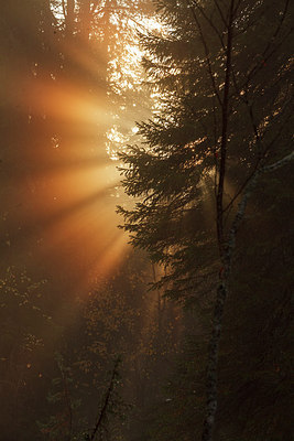 BUITEN BEELD Foto: 242215