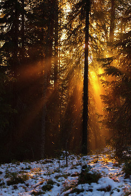 BUITEN BEELD Foto: 242220