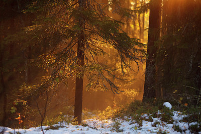 BUITEN BEELD Foto: 242223
