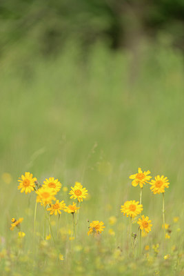 BUITEN BEELD Foto: 242298