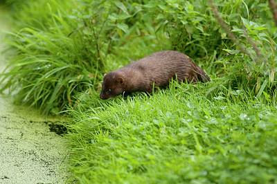 BUITEN BEELD Foto: 242306