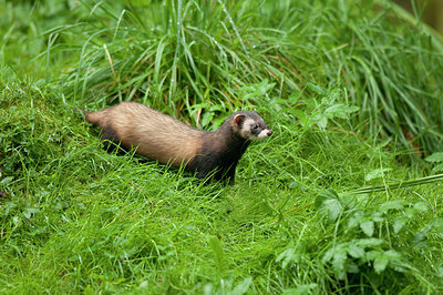 BUITEN BEELD Foto: 242315