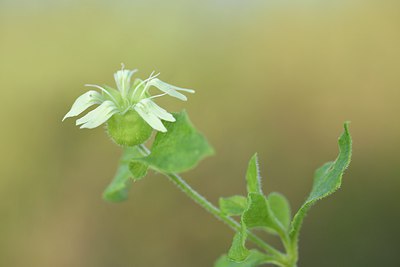 BUITEN BEELD Foto: 242353