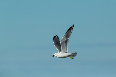 BUITEN BEELD Foto: 242436