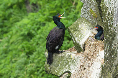 BUITEN BEELD Foto: 242453