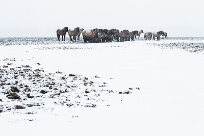BUITEN BEELD Foto: 242460