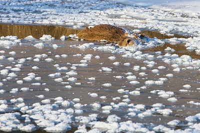 BUITEN BEELD Foto: 242468