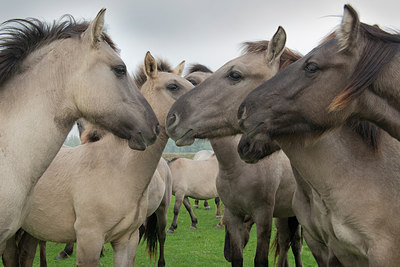 BUITEN BEELD Foto: 242515