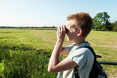 BUITEN BEELD Foto: 242622