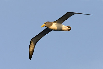 BUITEN BEELD Foto: 242642