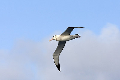 BUITEN BEELD Foto: 242652