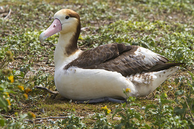BUITEN BEELD Foto: 242856