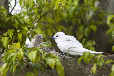 BUITEN BEELD Foto: 242867
